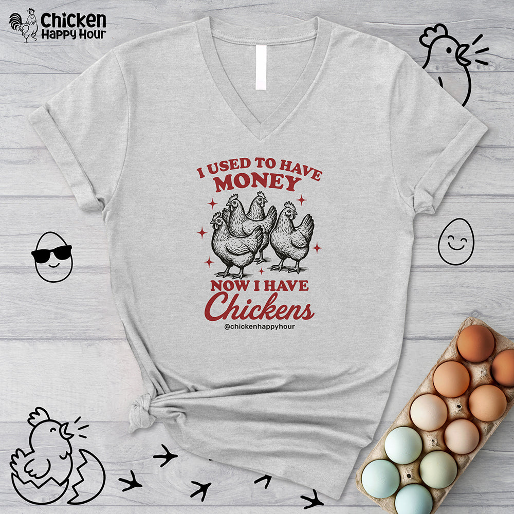 I Used to Have Money V-Neck Tee