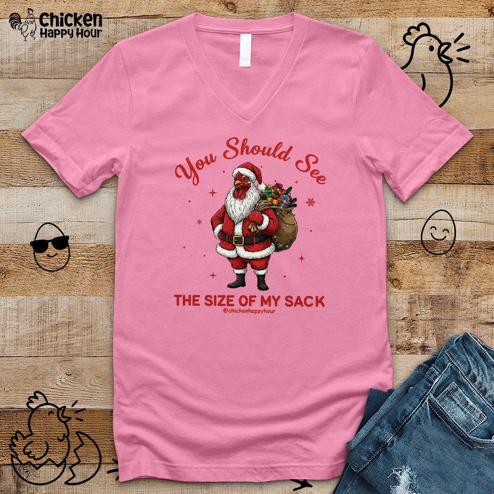 You Should See the Size of My Sack V-Neck Tee