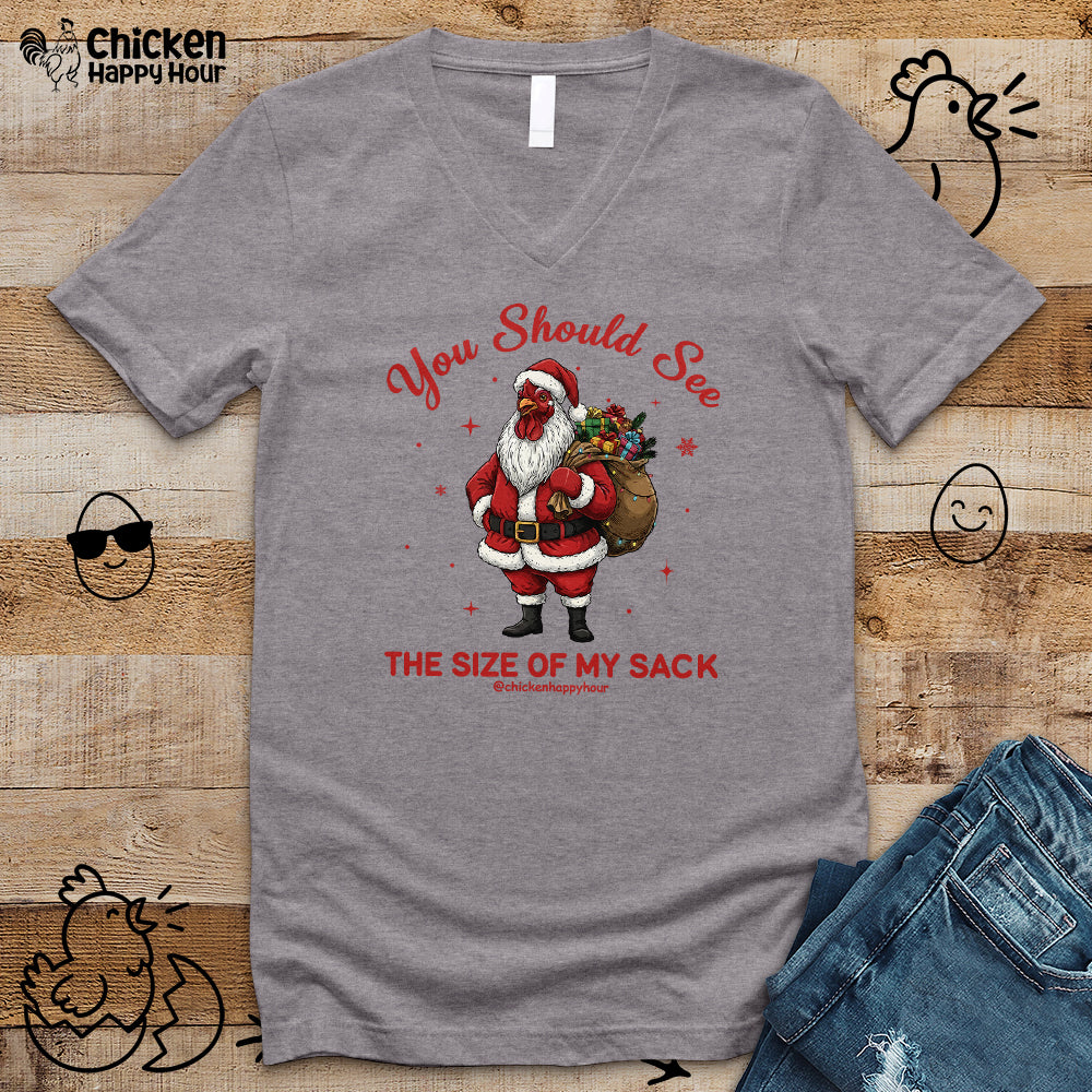 You Should See the Size of My Sack V-Neck Tee