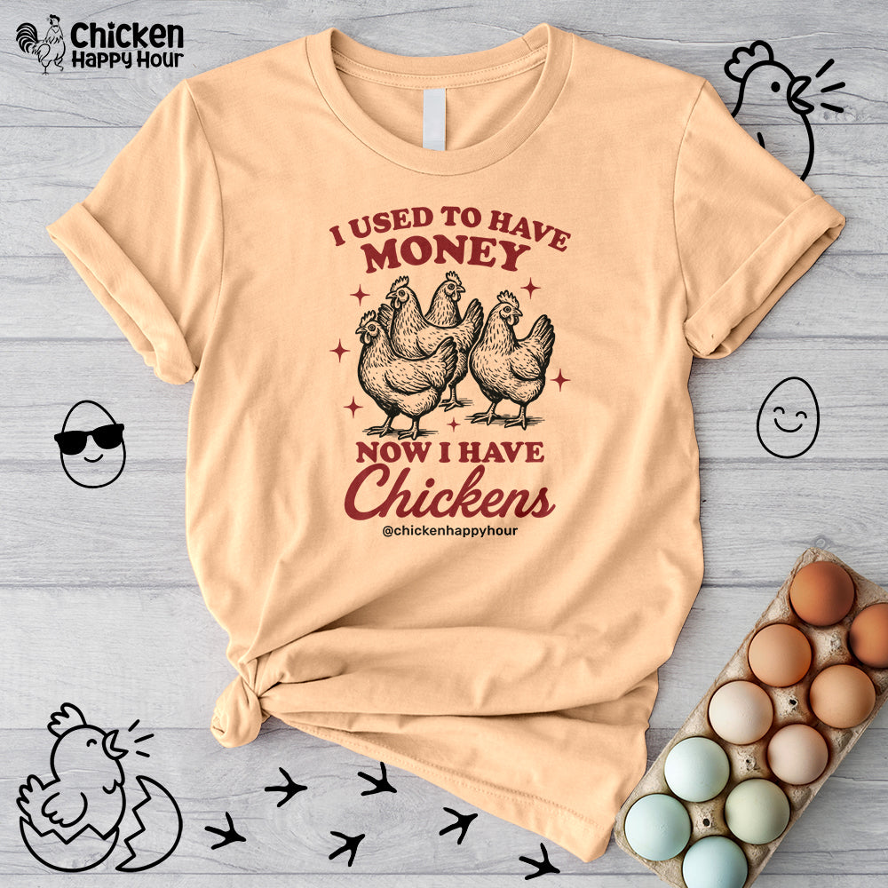 I Used to Have Money Unisex Tee