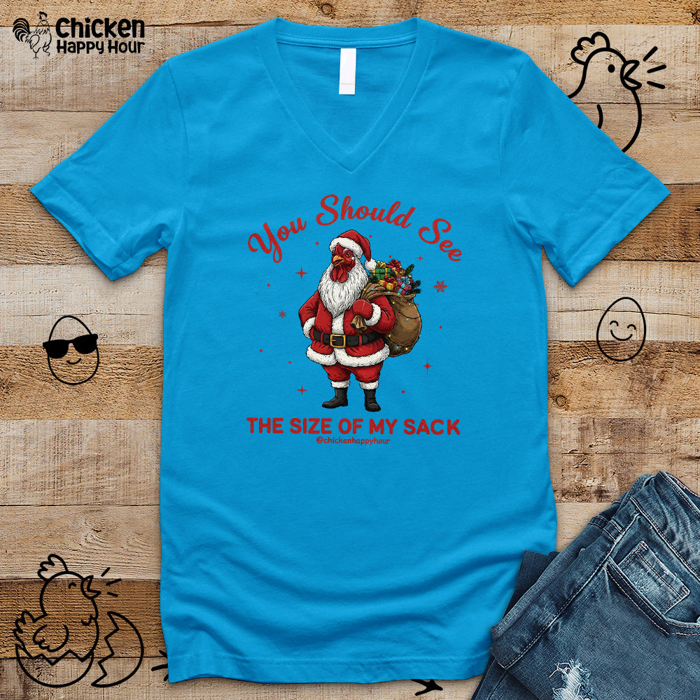 You Should See the Size of My Sack V-Neck Tee