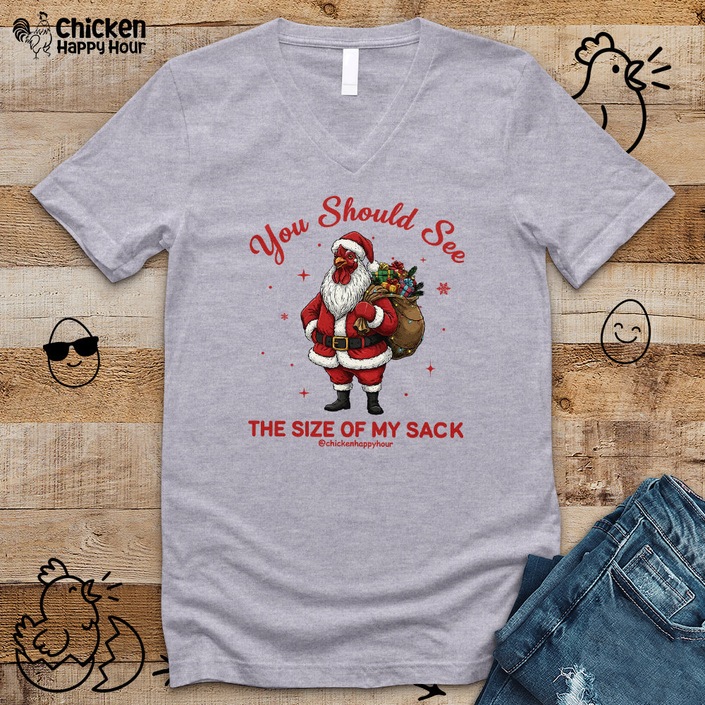 You Should See the Size of My Sack V-Neck Tee