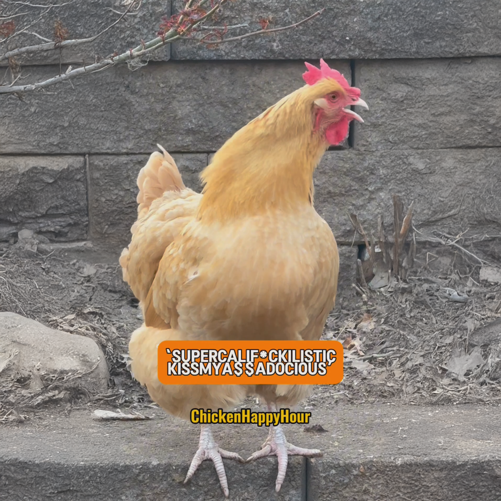 Supercalifuckilistickissmyassadocious Ringtone