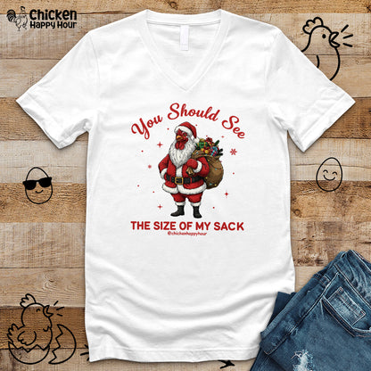You Should See the Size of My Sack V-Neck Tee