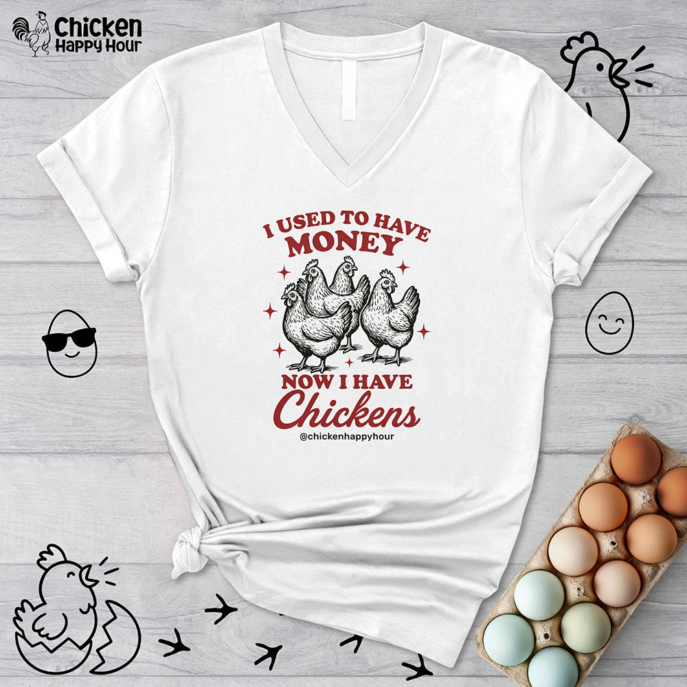 I Used to Have Money V-Neck Tee