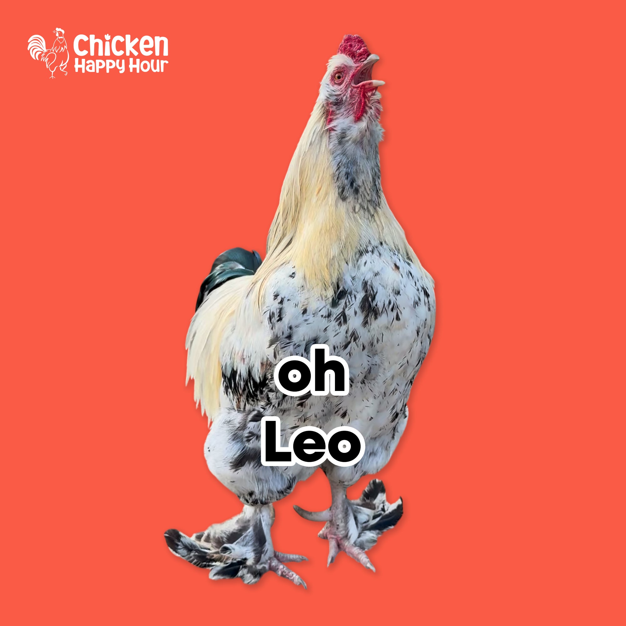 Leo Ringtone