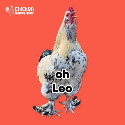 Leo Ringtone