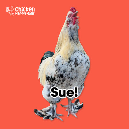 Sue Susie Ringtone